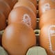 ¿Los huevos retirados por salmonela en Estados Unidos llegaron a México? La FDA aclara que los lotes afectados no fueron distribuidos oficialmente en el país