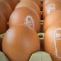 ¿Los huevos retirados por salmonela en Estados Unidos llegaron a México? La FDA aclara que los lotes afectados no fueron distribuidos oficialmente en el país