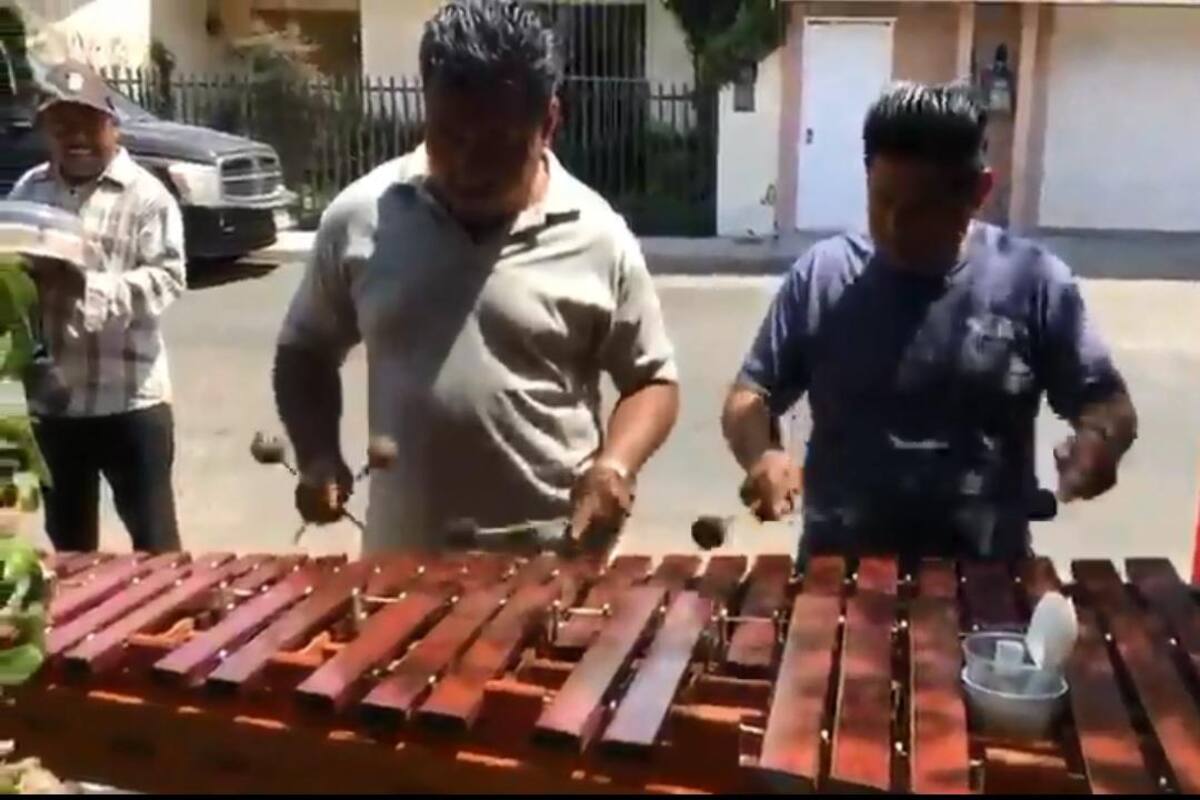 'La Chona' ya tiene versión marimba
