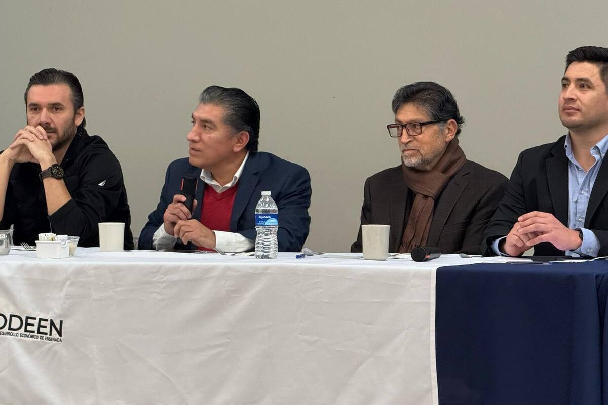 Preocupa a IP falta de leyes para IA