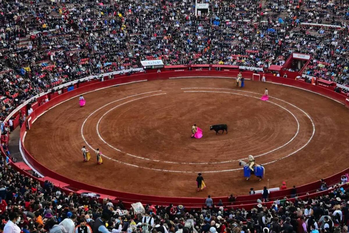 Jueza federal ordena la suspensión inmediata de corridas de toros en CDMX