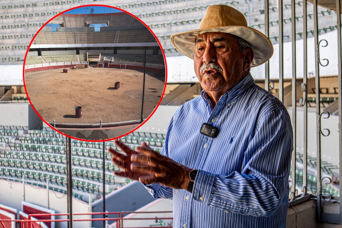 El último sobreviviente de la Plaza Calafia; 50 aniversario del coloso cachanilla