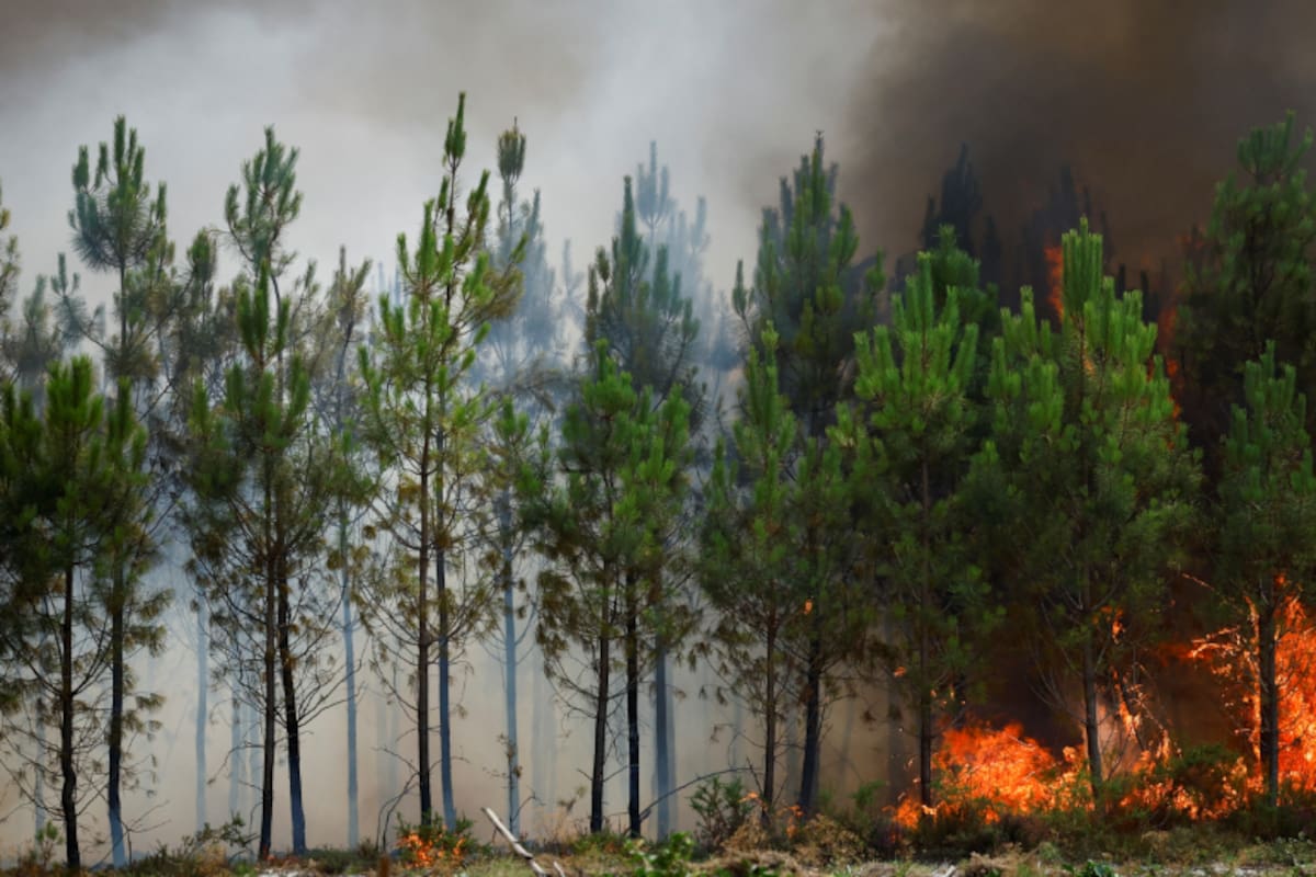 Aumento de incendios y grave sequía perturban temperaturas en Europa