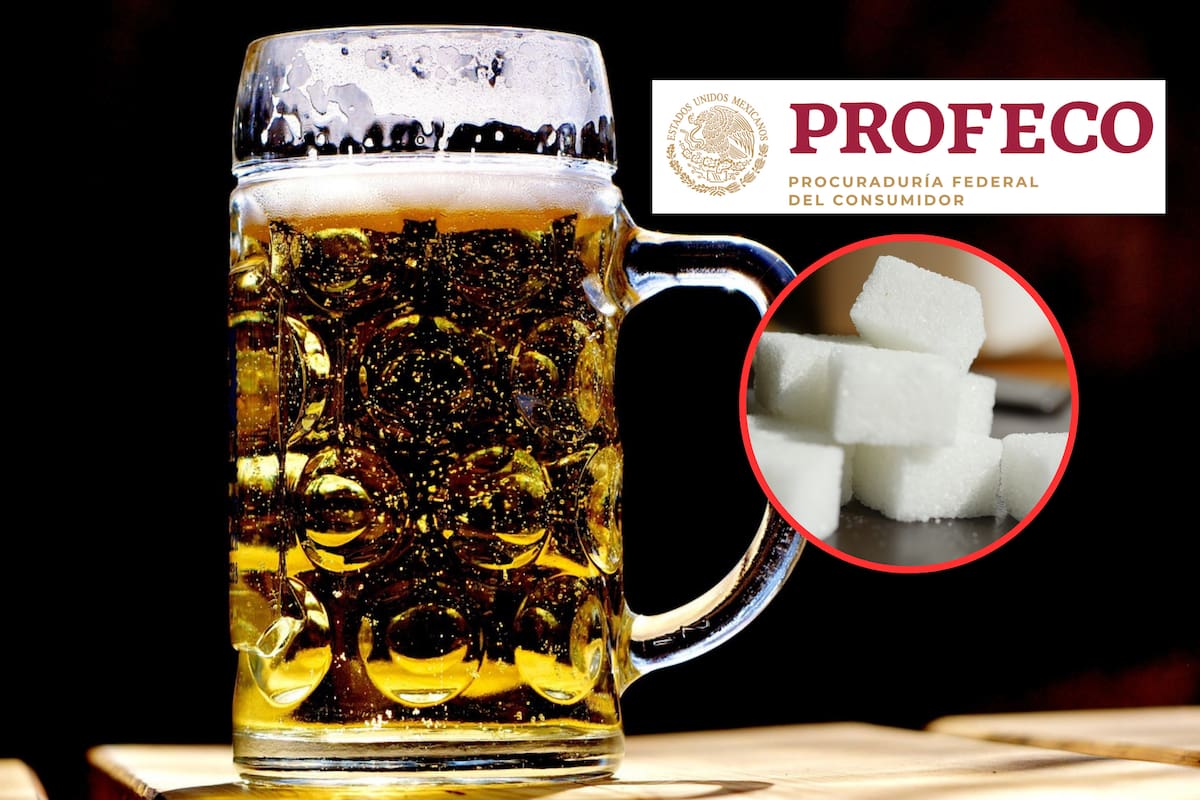 Profeco revela qué cervezas tienen alto contenido azúcar: algunas tienen hasta 15 gramos