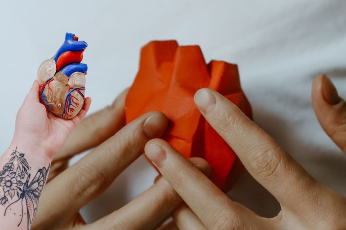 Una terapia genética redujo casi 50% el colesterol durante más de un año: ¿qué se sabe del nuevo tratamiento y cómo funciona?
