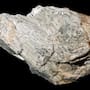 Mineral de Sonora mostró que puede convivir con células formadoras de hueso y abre camino a implantes personalizados: esto encontró la Unison