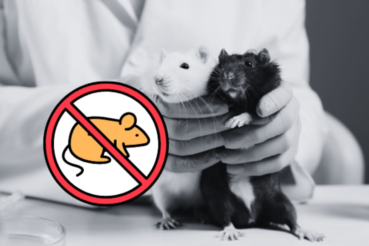 La EPA fija el año 2035 como meta para prohibir las pruebas de laboratorio en animales