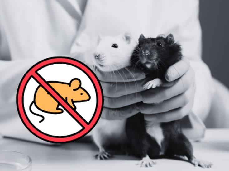 La EPA fija el año 2035 como meta para prohibir las pruebas de laboratorio en animales