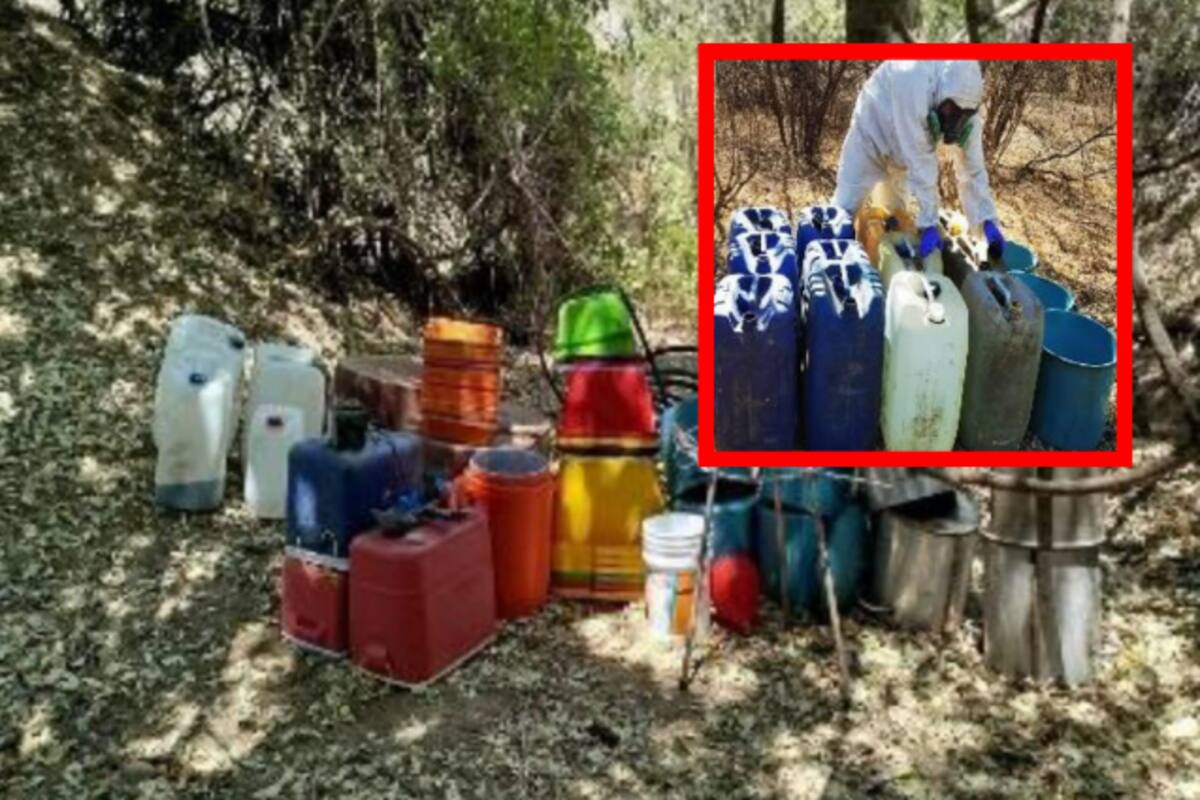 Autoridades desmantelan 18 laboratorios clandestinos en Culiacán, Cosalá y Mocorito