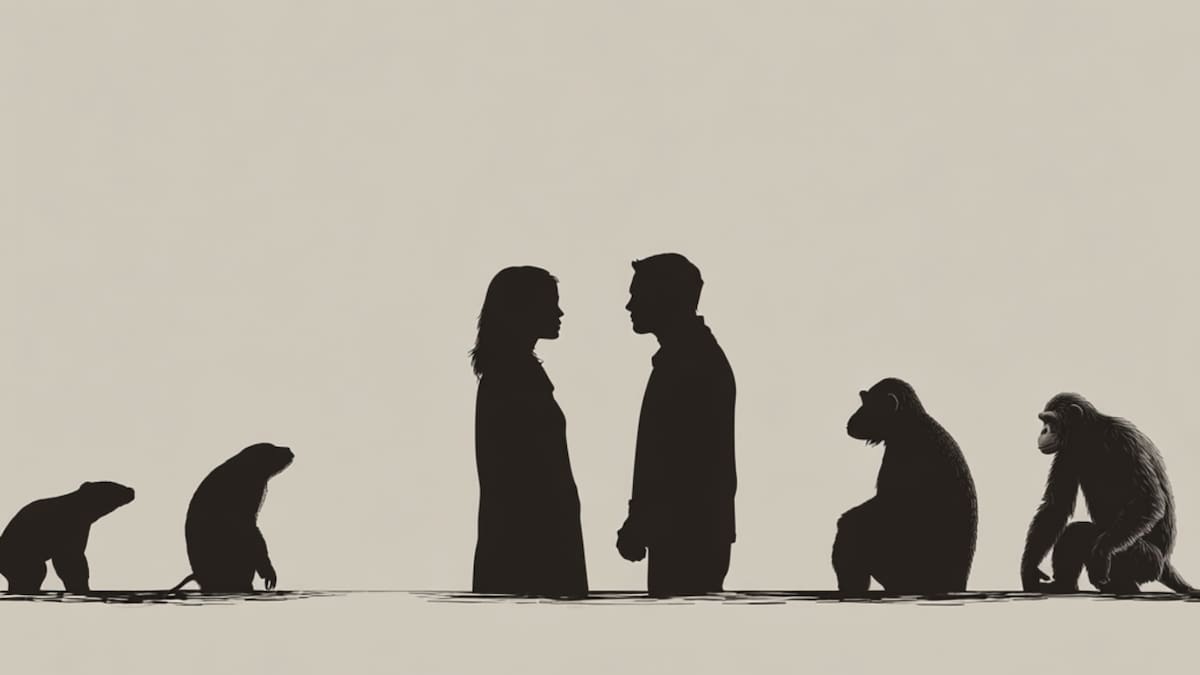 ¿Qué tan monógamos somos realmente? El estudio que compara a los humanos con castores, suricatas y otros mamíferos revela datos inesperados