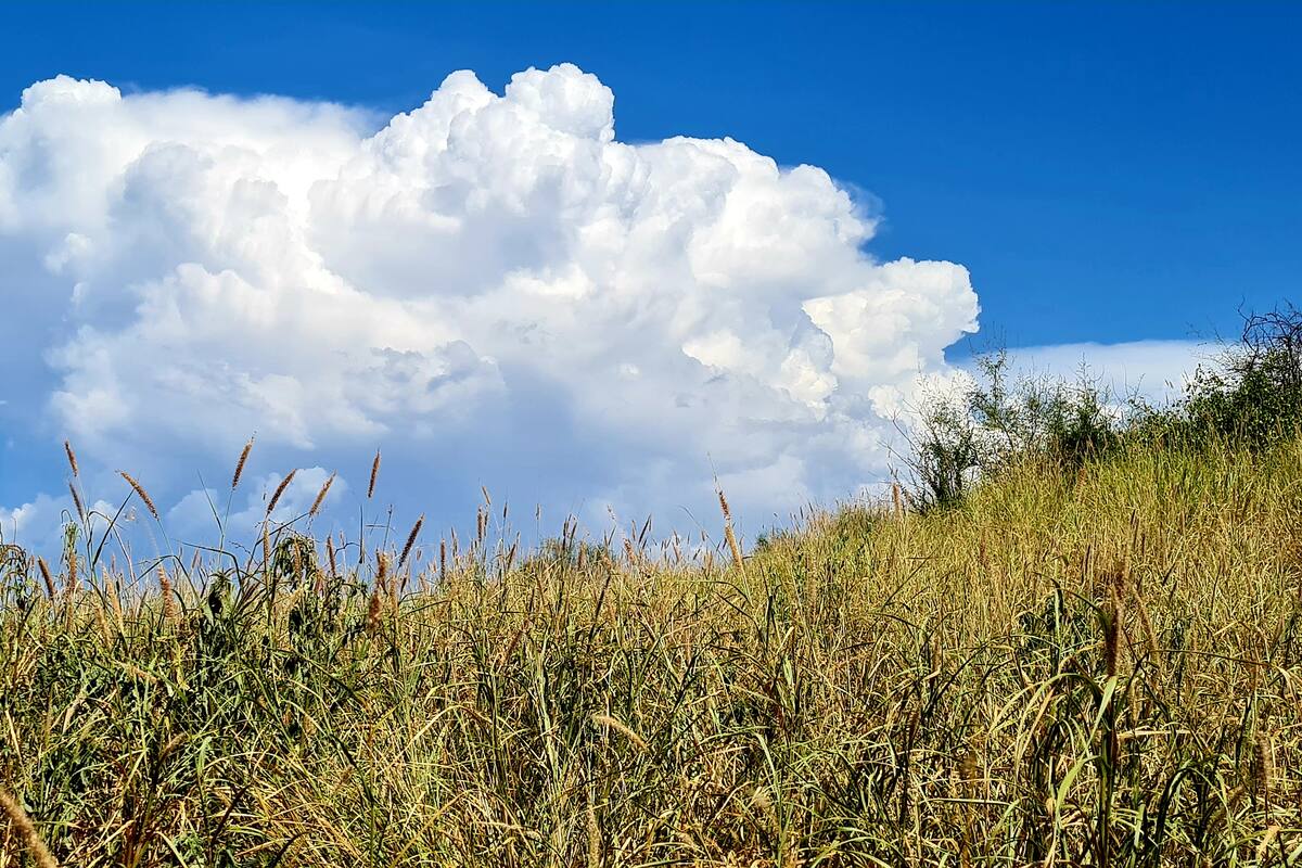 Clima en Sonora: Sistema frontal generará aumento de nubosidad al norte del Estado