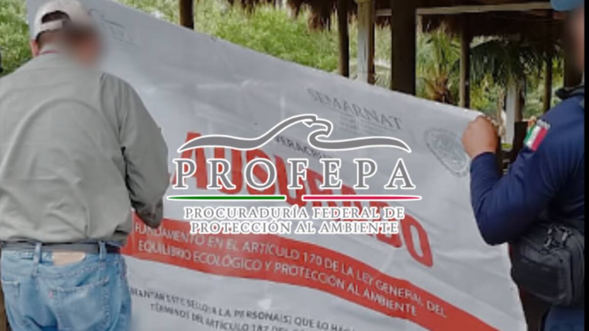 Profepa lanza megaoperativo ambiental en 14 estados: clausura 31 obras ilegales en costas, manglares y dunas protegidas