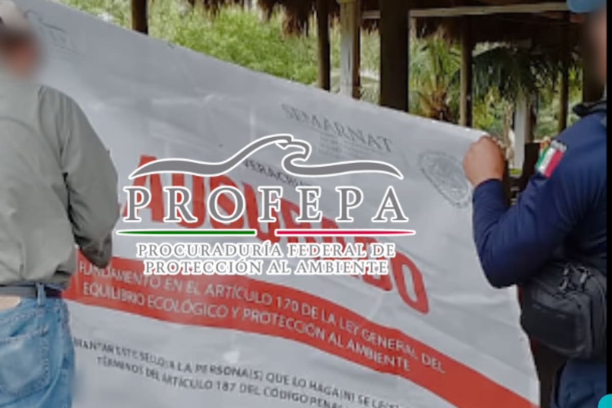 Profepa lanza megaoperativo ambiental en 14 estados: clausura 31 obras ilegales en costas, manglares y dunas protegidas