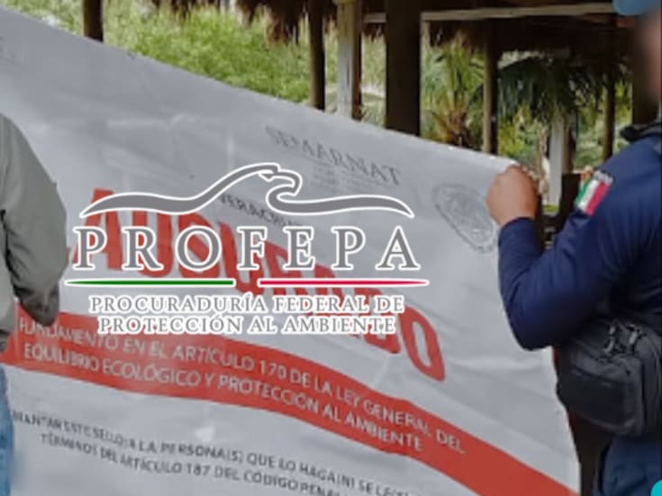 Profepa lanza megaoperativo ambiental en 14 estados: clausura 31 obras ilegales en costas, manglares y dunas protegidas