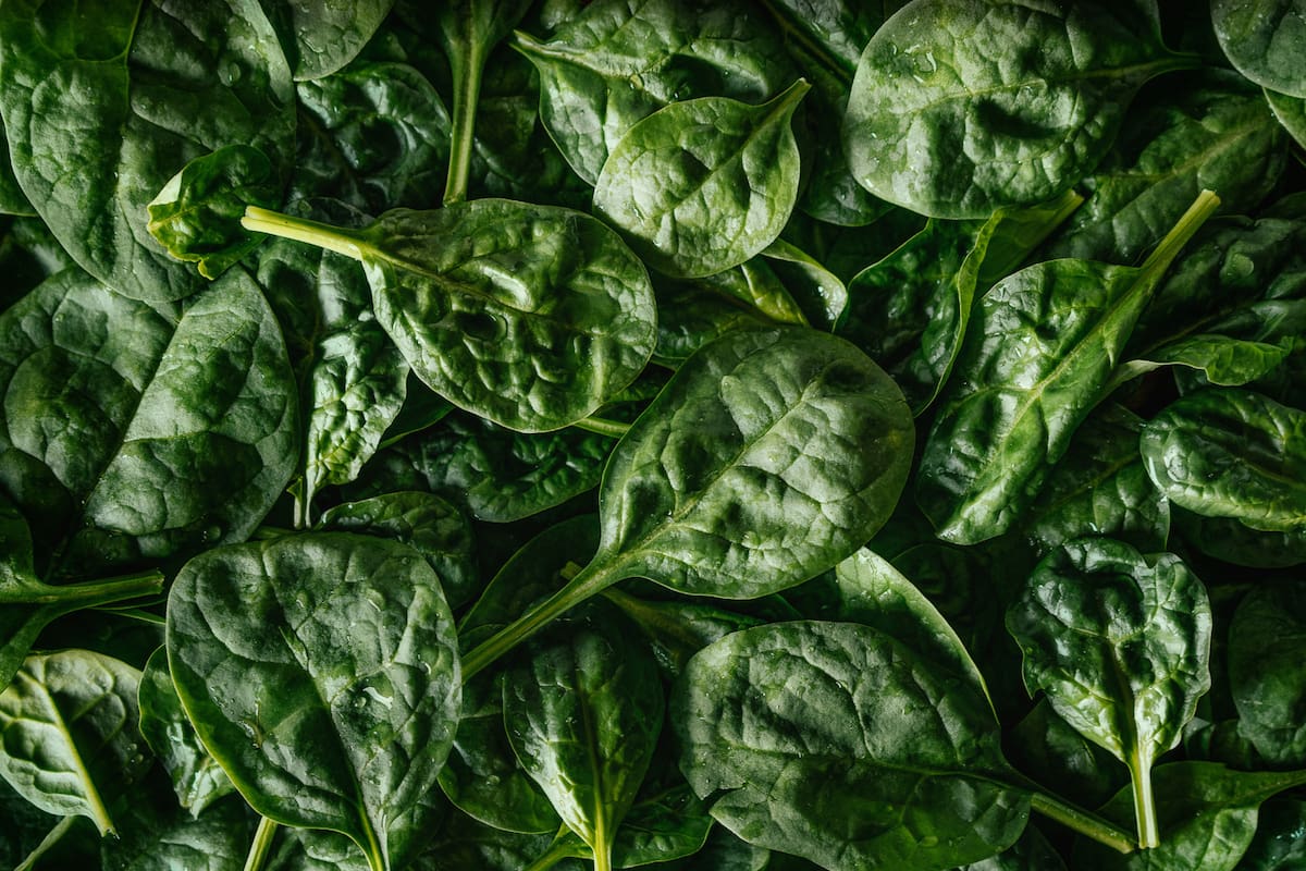 Retiran espinacas orgánicas congeladas en EEUU por posible contaminación con listeria