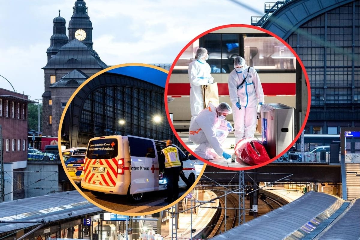Ataque con cuchillo en la Estación Central de Hamburgo: 17 heridos, 4 en estado crítico