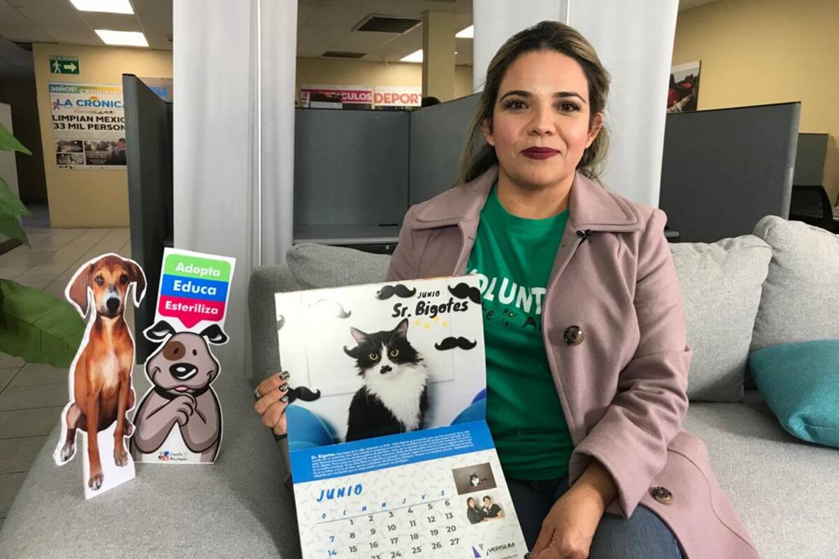 Protagonizan calendario mascotas adoptadas