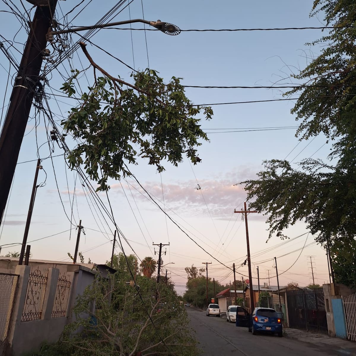 Foto: Said Morones.