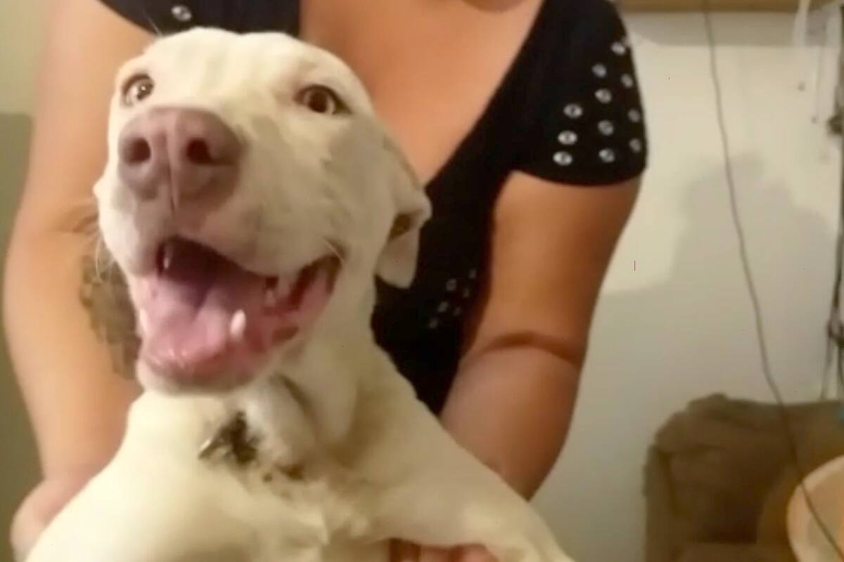 Tiene nueva oportunidad tras vivir encadenada