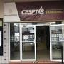 CESPT tuvo 15 directores en 13 años; rotación debilita al organismo, señala investigadora