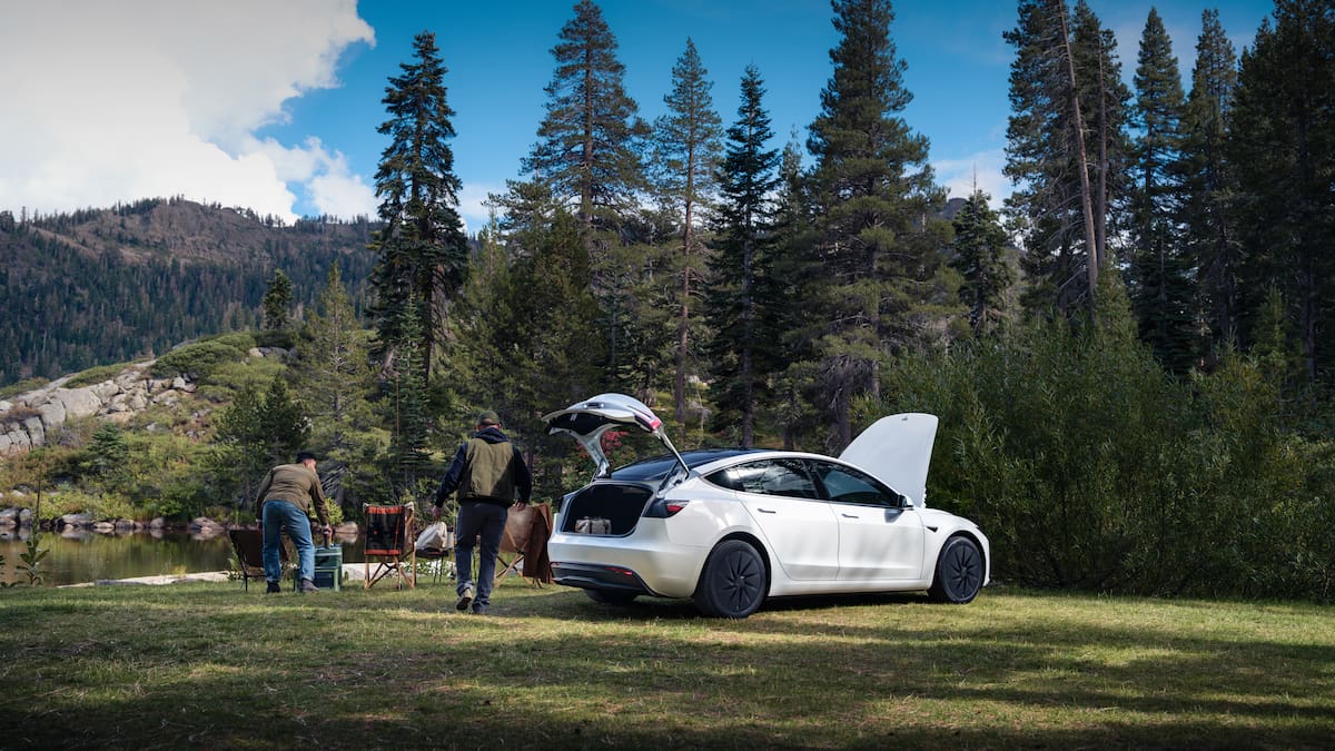 Nuevos Model Y y Model 3 Standard de Tesla.