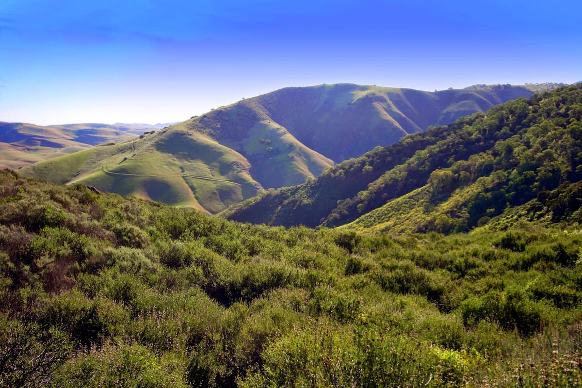 Chaparral, Baja California