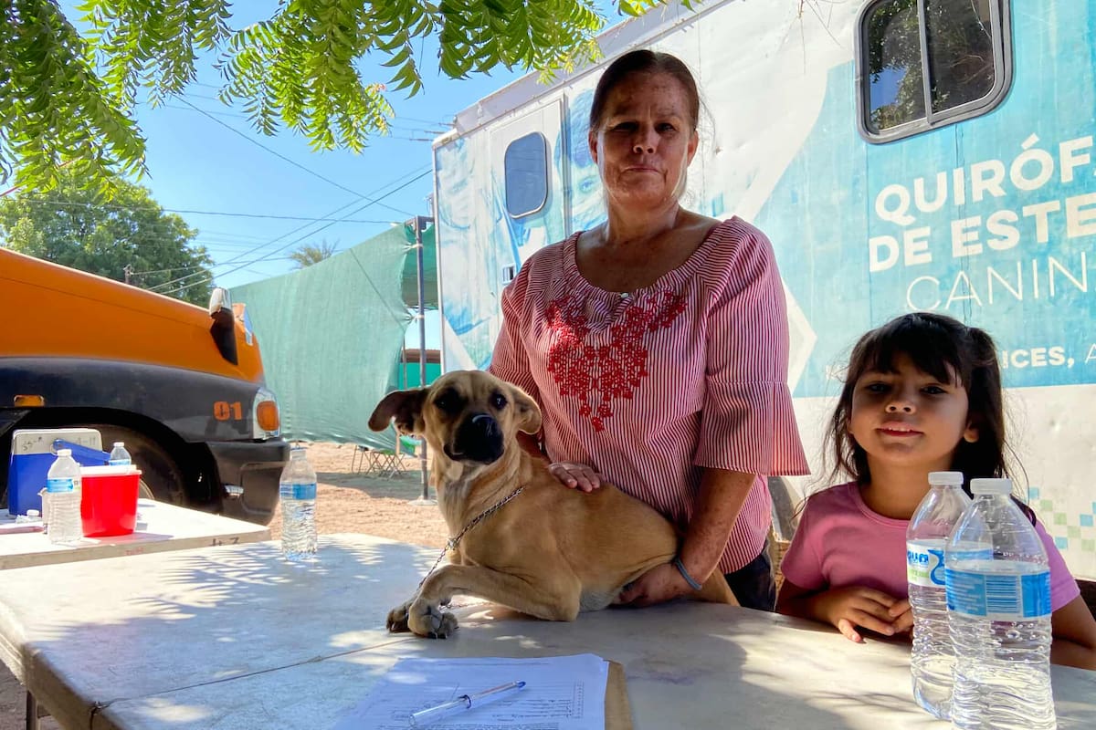 Realizan hasta 25 esterilizaciones diarias en quirófano móvil de Salud