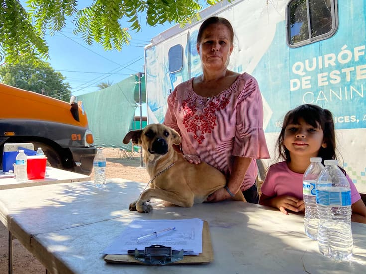 Realizan hasta 25 esterilizaciones diarias en quirófano móvil de Salud