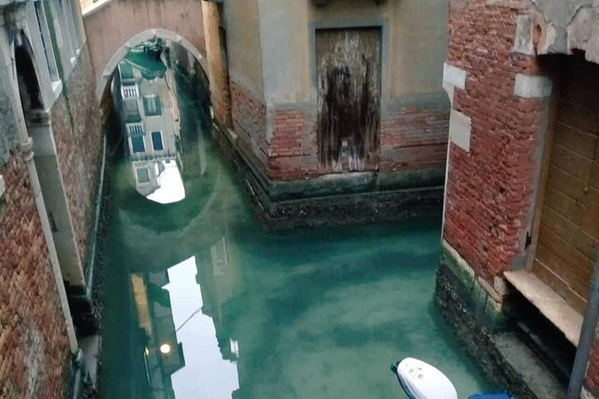 Sorprenden aguas cristalinas en Venecia durante la cuarentena