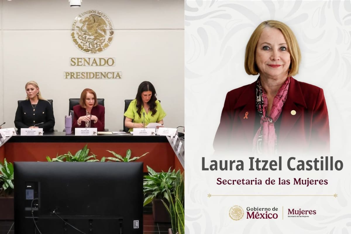 ¿Quién es Laura Itzel Castillo? Trayectoria de la nueva titular de la Secretaría de las Mujeres