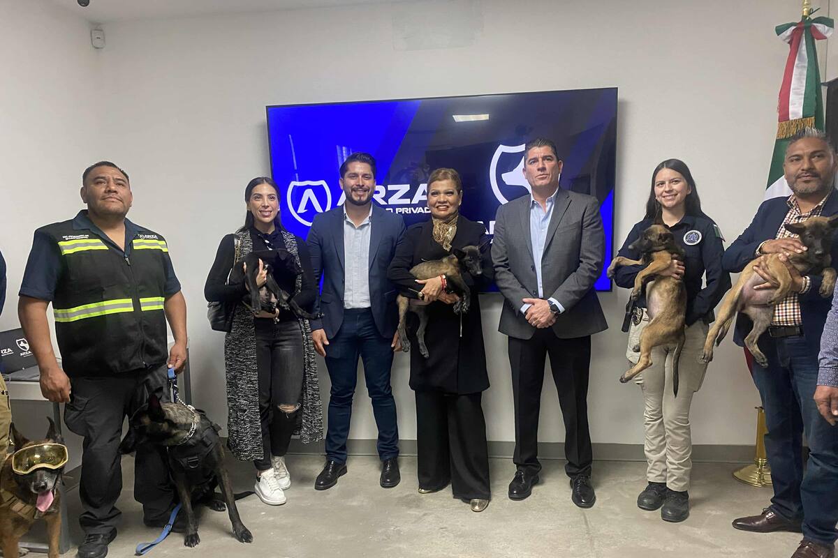 Recibe FGE donación de 4 agentes caninos que inician formación