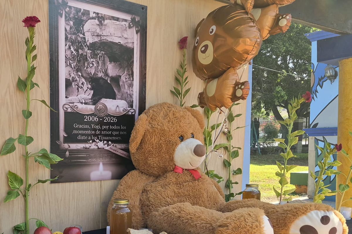 Comunidad del Parque Morelos, de luto por muerte del oso Yogui