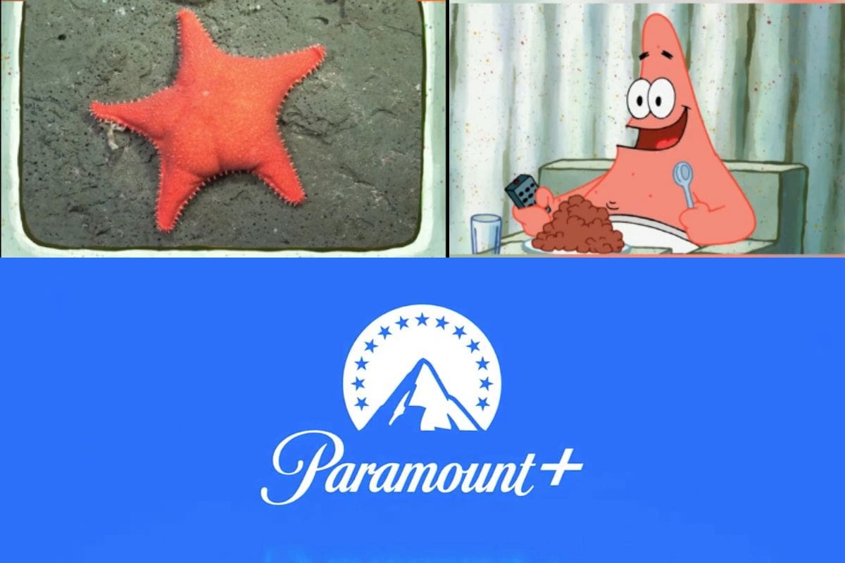 Paramount+ se sube al tren viral y promociona Bob Esponja con estrella de mar que parece tener glúteos