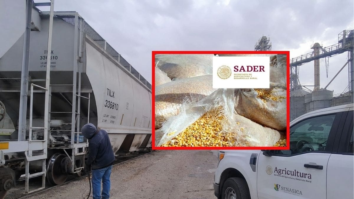 Agente aduanal pagó sobornos de hasta 3 mil dólares por cargamento para evitar inspecciones sanitarias en tres aduanas de México durante casi 10 años y recibió 18 meses de cárcel en Texas