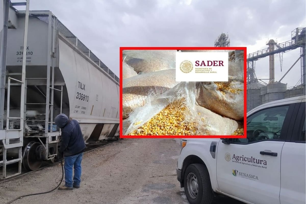 Agente aduanal pagó sobornos de hasta 3 mil dólares por cargamento para evitar inspecciones sanitarias en tres aduanas de México durante casi 10 años y recibió 18 meses de cárcel en Texas