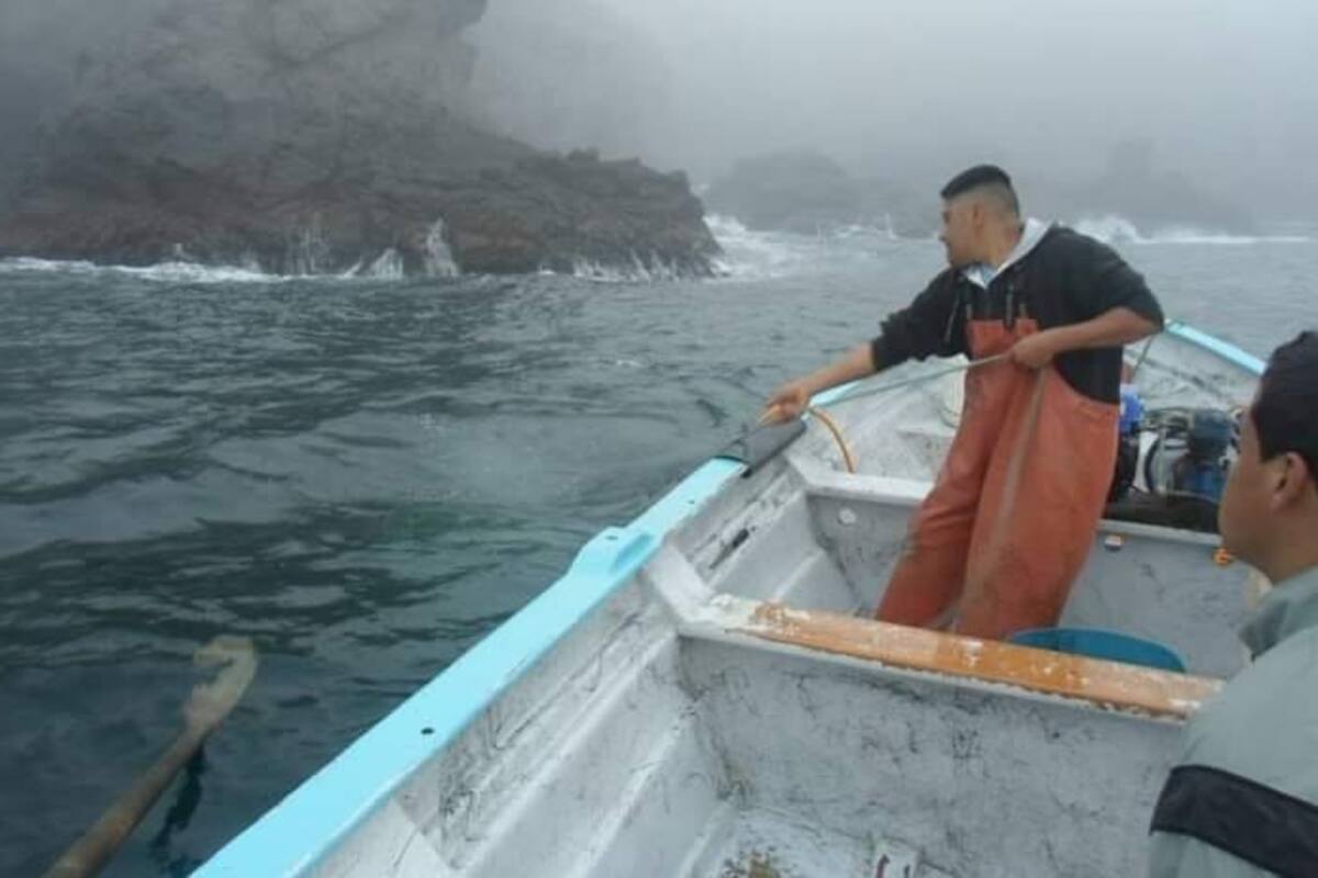 Buzos y pescadores atraviesan mala racha con la captura de erizo