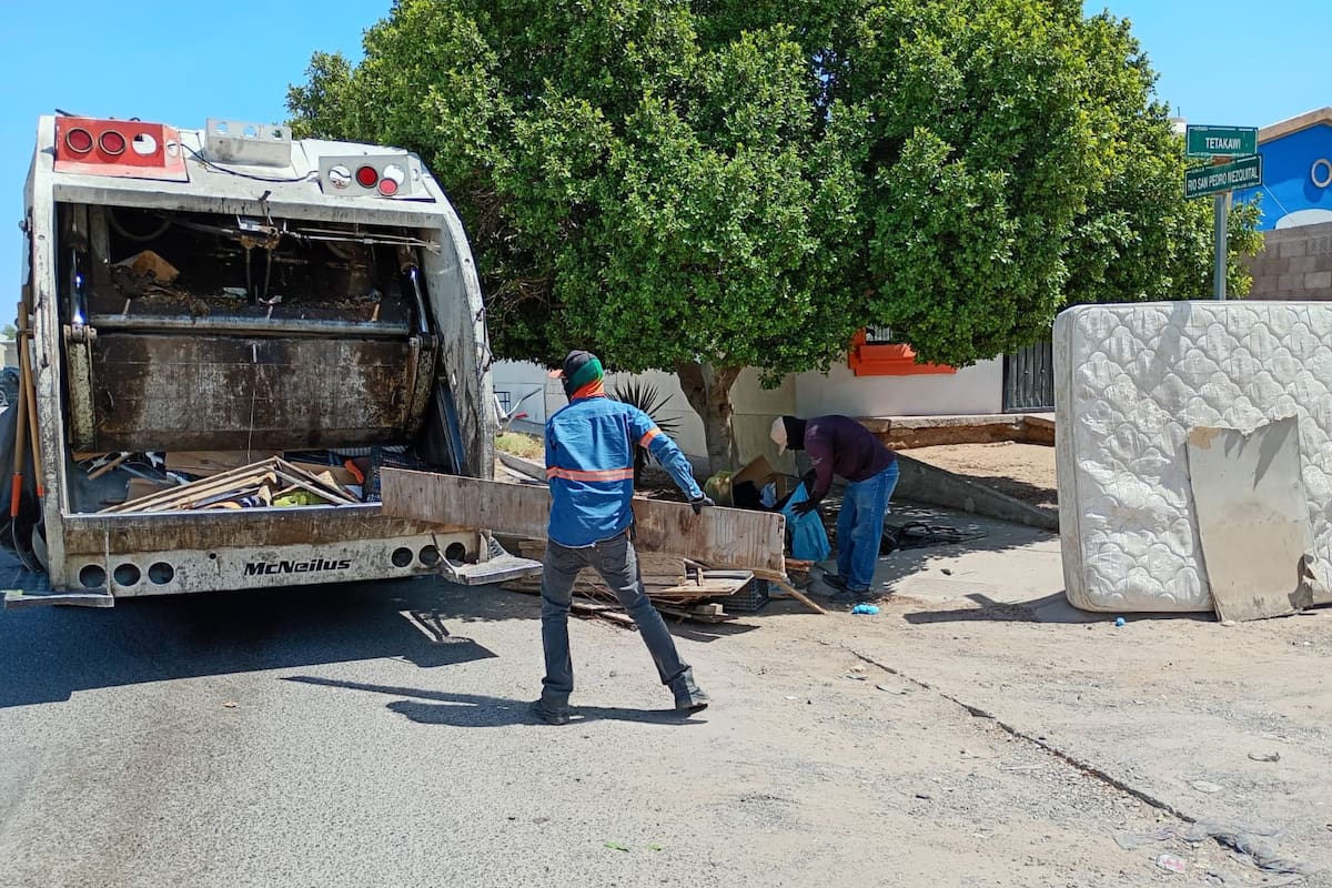 ¡Cuidado! Detectan más mosco del dengue en colonias del Centro, Norponiente y Suroriente de Hermosillo