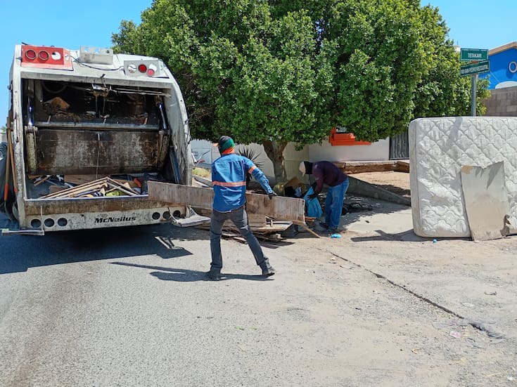 Van 326 casos de dengue en Hermosillo: Autoridades refuerzan acciones de prevención
