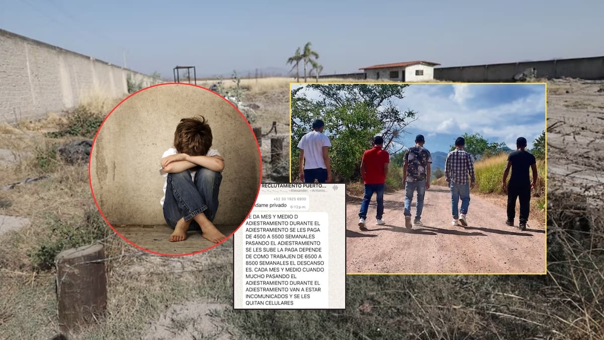 Los grupos delictivos buscan niños y adolescentes porque son más fáciles de manipular. Foto: Especial (X/Fiscalía de Jalisco/El Universal/Ilustrativa | editada en Canva)