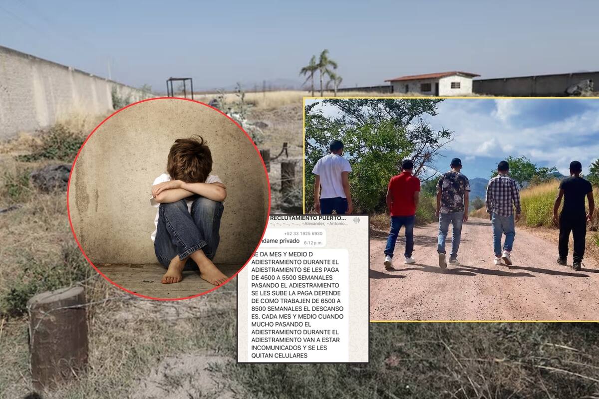 Estas son las tareas que el narco obliga a los niños y jóvenes de 6 a 17 años a hacer luego de ser reclutados