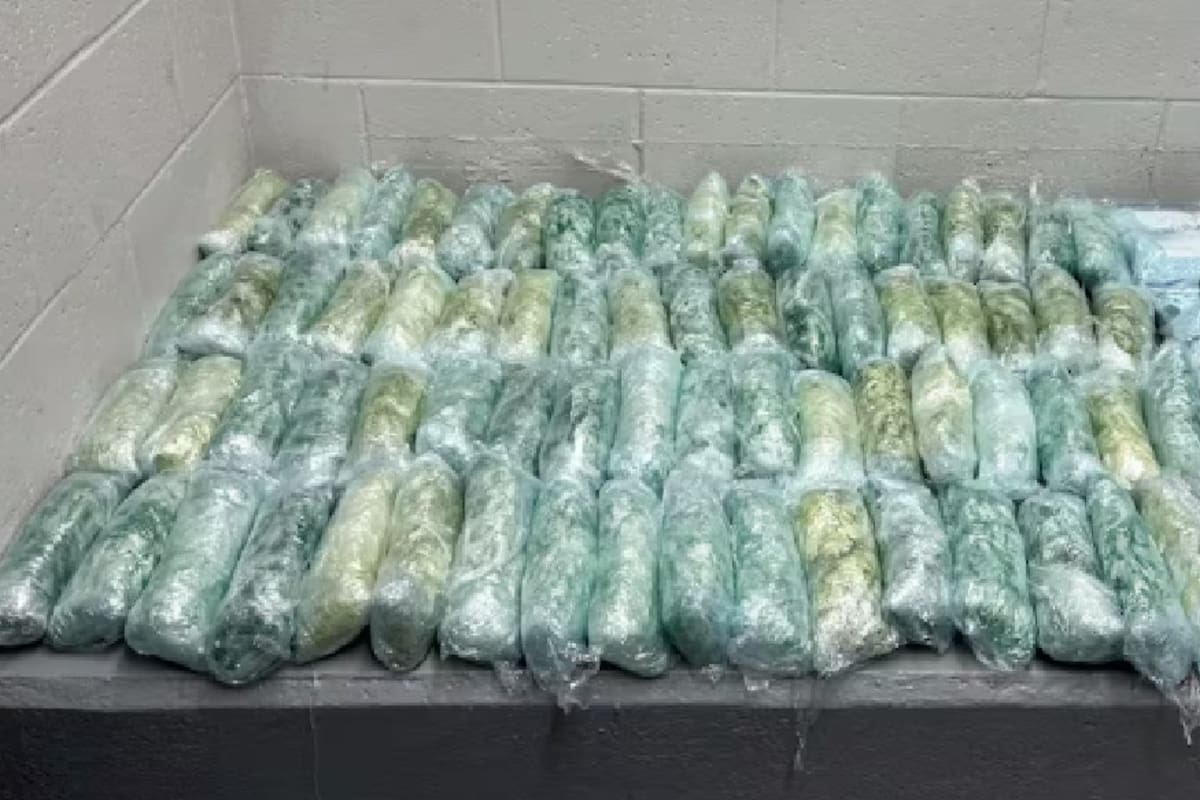 Fiscalía federal en California procesa 115 casos fronterizos en una semana