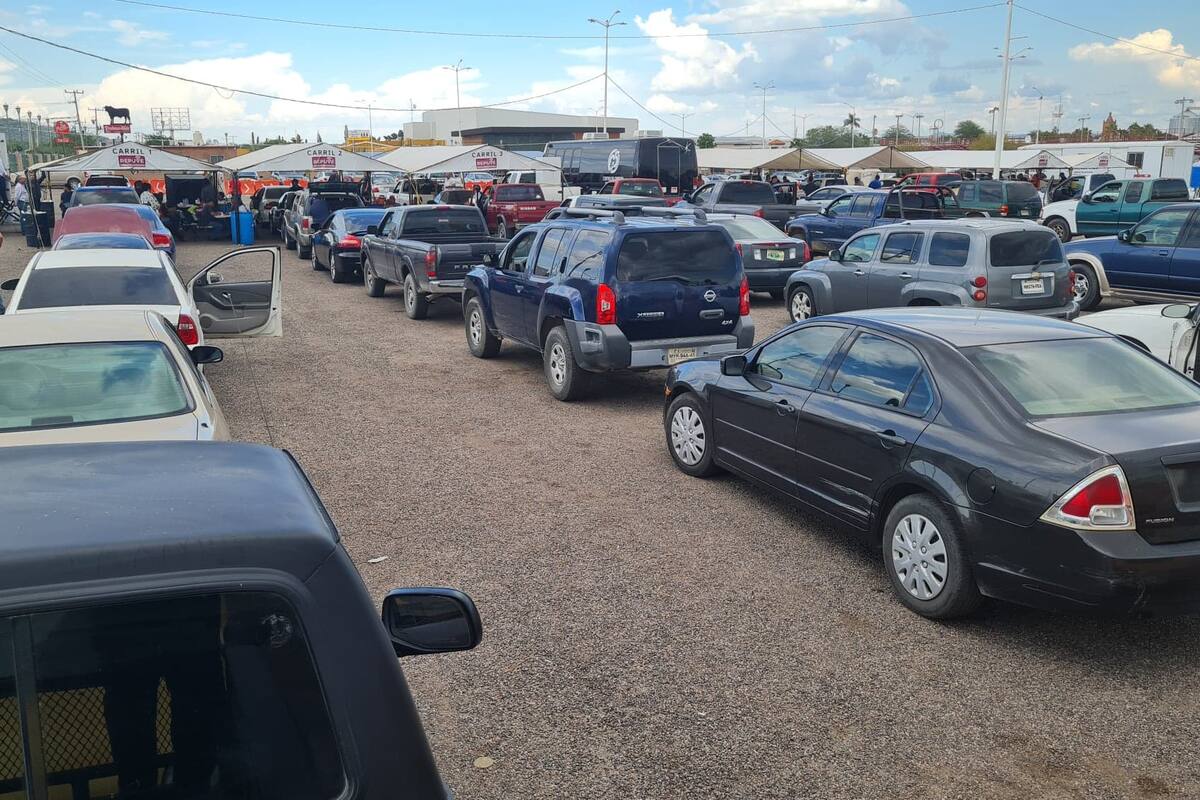 Autos chocolate: Extienden periodo para regularizar carros hasta el 31 de diciembre