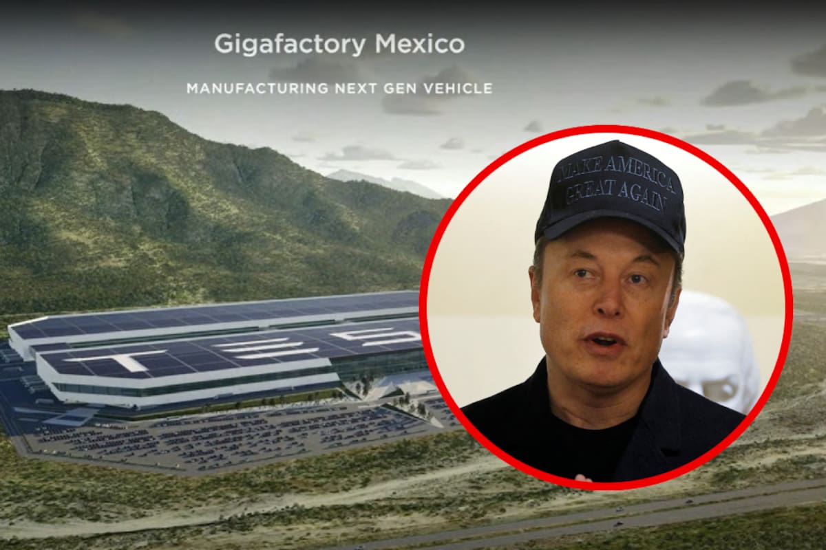 Elon Musk compró terrenos en litigio en Nuevo León y los verdaderos dueños reclaman sus derechos: La Jornada