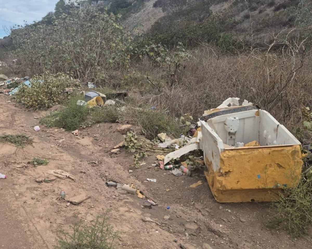 En su mayoría son tirados a la calle durante la noche para no ser sorprendidos. Foto: Cortesía