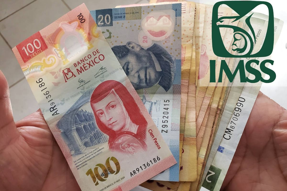 ¿Cuántas semanas de cotización necesitas para una pensión anticipada del IMSS?