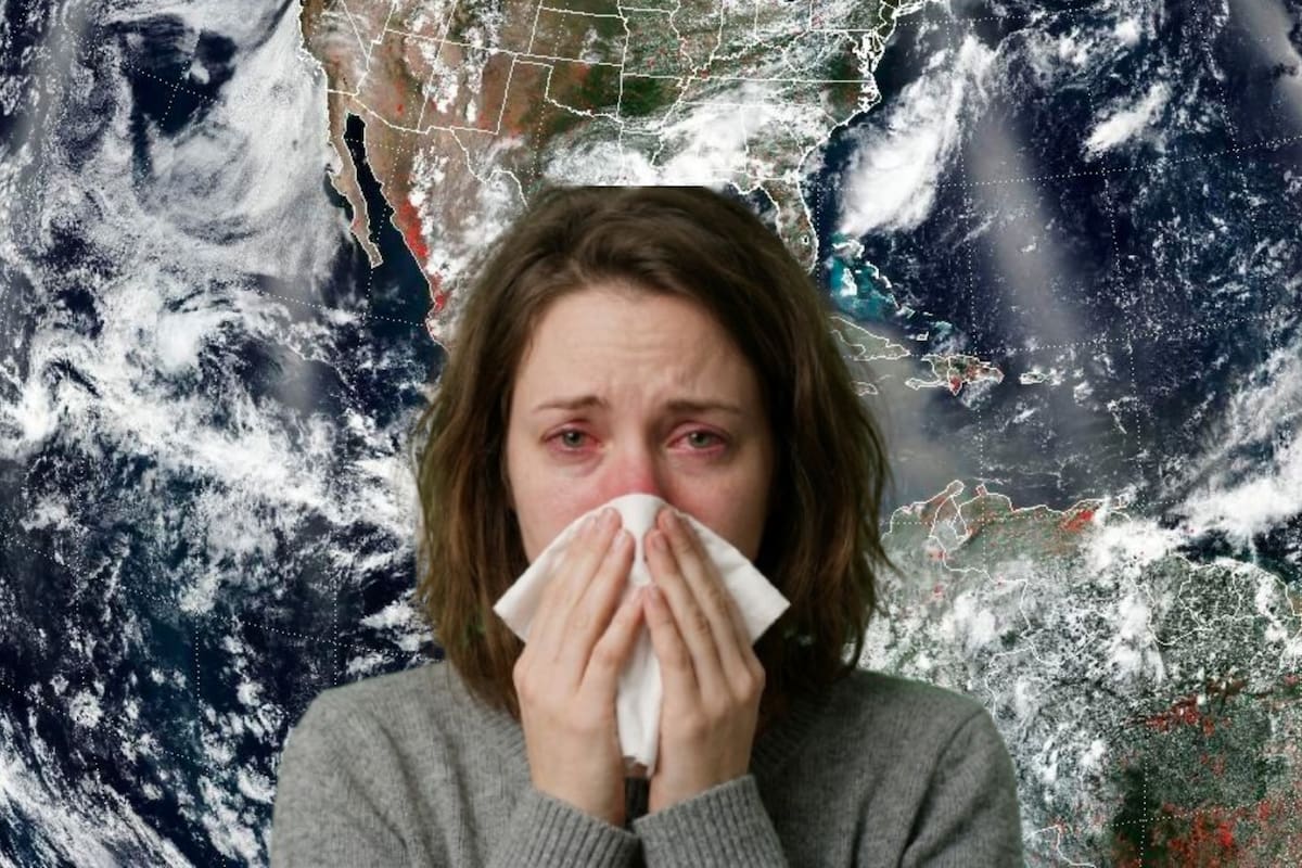 Polvo del Sahara llegará a México, afectando a estos estados y regiones, prevén estos efectos en la salud