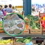 Especialistas reducen por primera vez en 10 meses el pronóstico de inflación para 2026: La expectativa baja a 4.23%