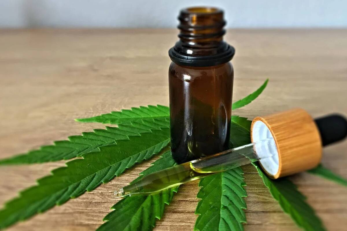 Cannabidiol podría prevenir la replicación del Covid en las primeras etapas, señala estudio