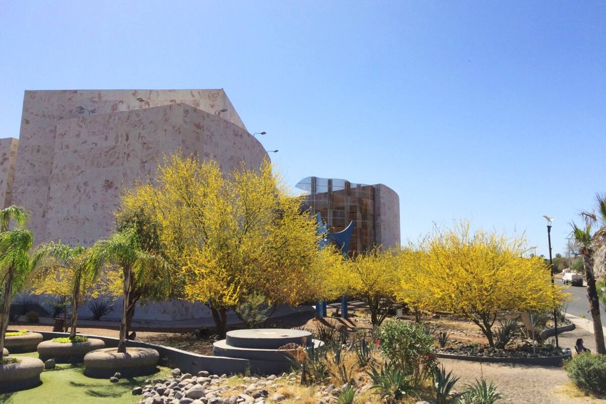 Se asfixia Hermosillo, le urge arborización