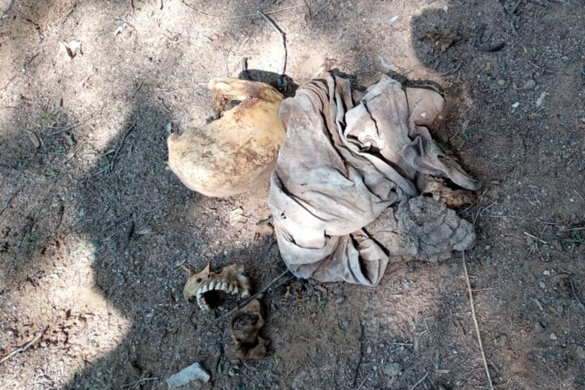 Localizan restos humanos en la colonia Ladrillera de Obregón